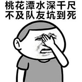 王者荣耀多坑货