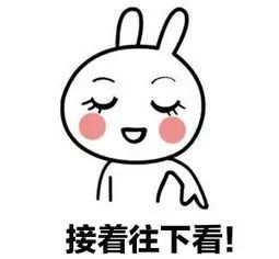 网站建设 网站建设