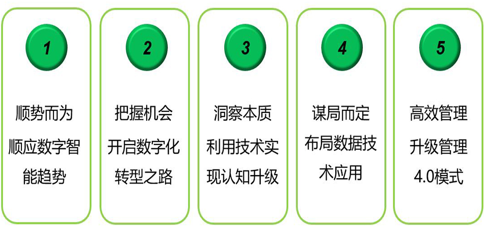 11周年庆 11周年庆